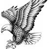 Jose Rodriguez