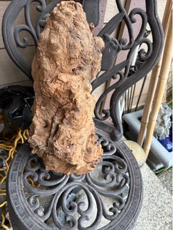 Natural Burl wood root 10”L