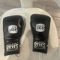 Brand New Reyes Boxing Gloves