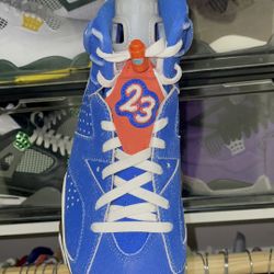 Air Jordan 6 GATORS 