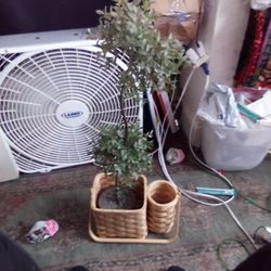 Fake Plant With Organizer