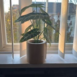 Fake Mini Plant 