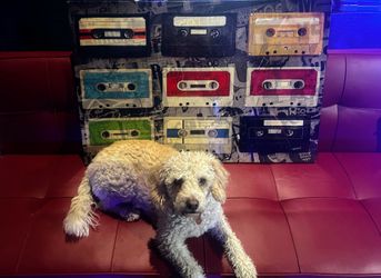 Retro Cassette Frame