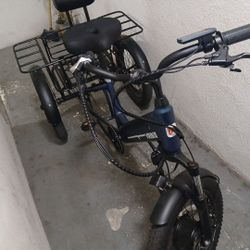 Electric 3 Wheeler Viribus 