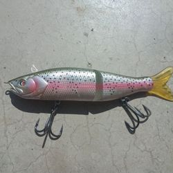 Rainbow Trout S-waver