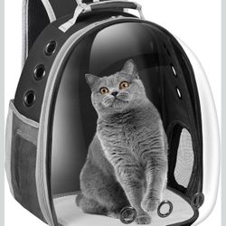 Cat Backpack 
