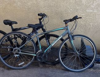 Nishiki bike