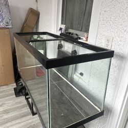 75 Gallon Tank 