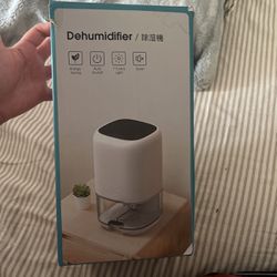 Small Dehumidifier 