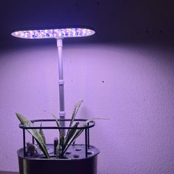 Grow Light