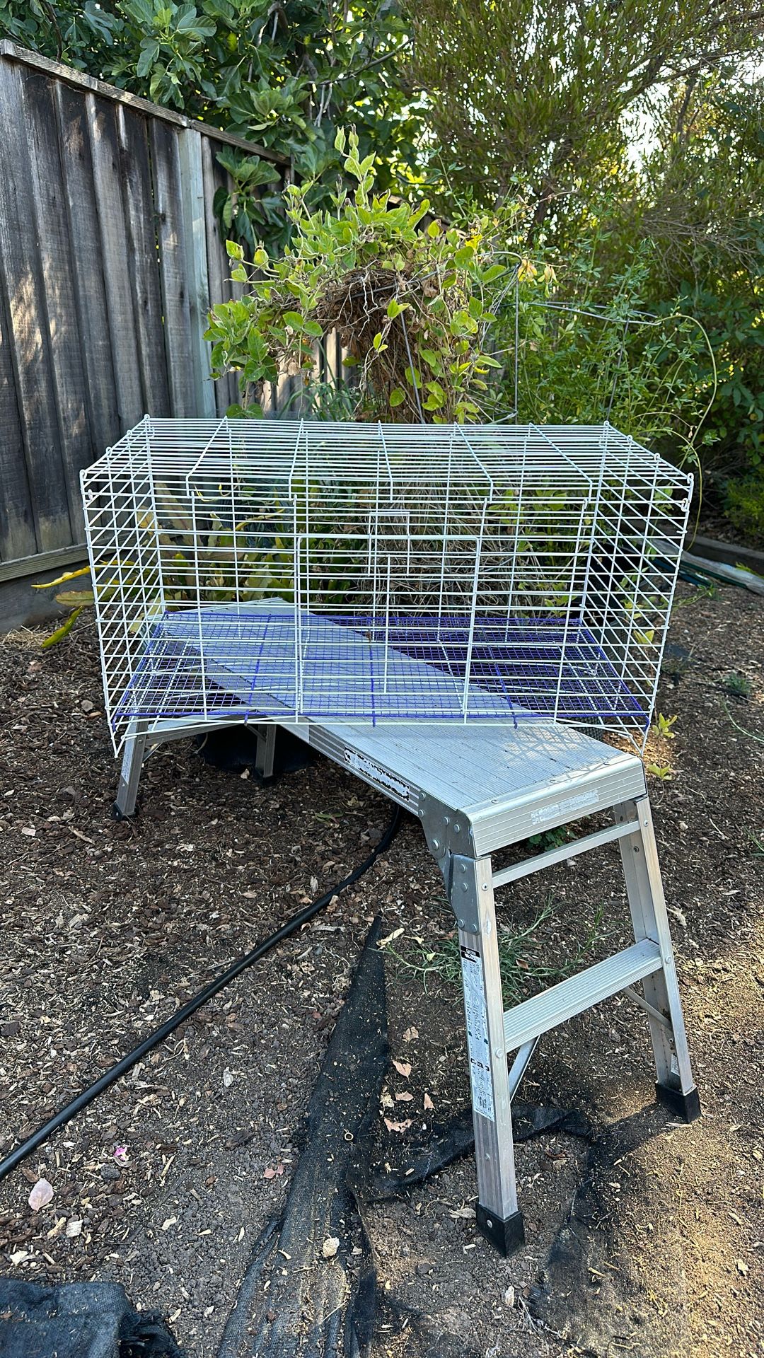 Pet Cage 4 Ft X 2 Ft