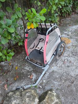Kids (or pets) double bike trailer. Comes with rain cover