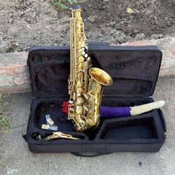 hermosa Alto Saxophone 🎷 