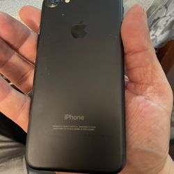 Mint Condition. No Cracks At All.  Very Clean 