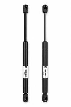 Pair OEM GM Liftgate Gas Struts Support Shocks Genuine