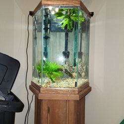 50 Gallon Tank Complete Setup
