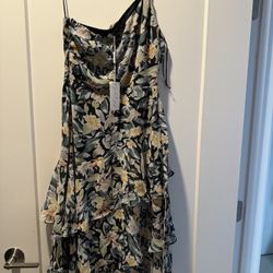 Dress (new) 