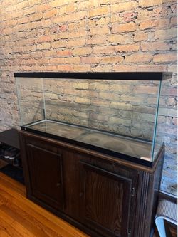 75 Gallon Aquarium Tank and Accessories