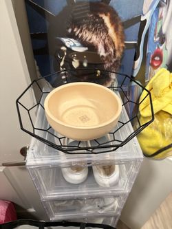 plant holder