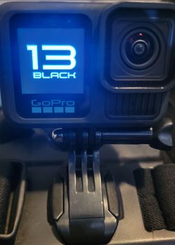 Gopro 13