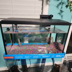 Fish Tanks 