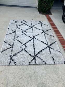 Area Shag Annenburg Eyelash Rug 5x7 Moving!