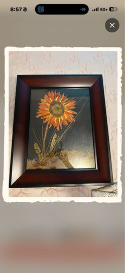 Mixed media pressed botanical sunflower collage on black background framed