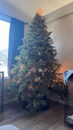 Christmas Tree And Lights