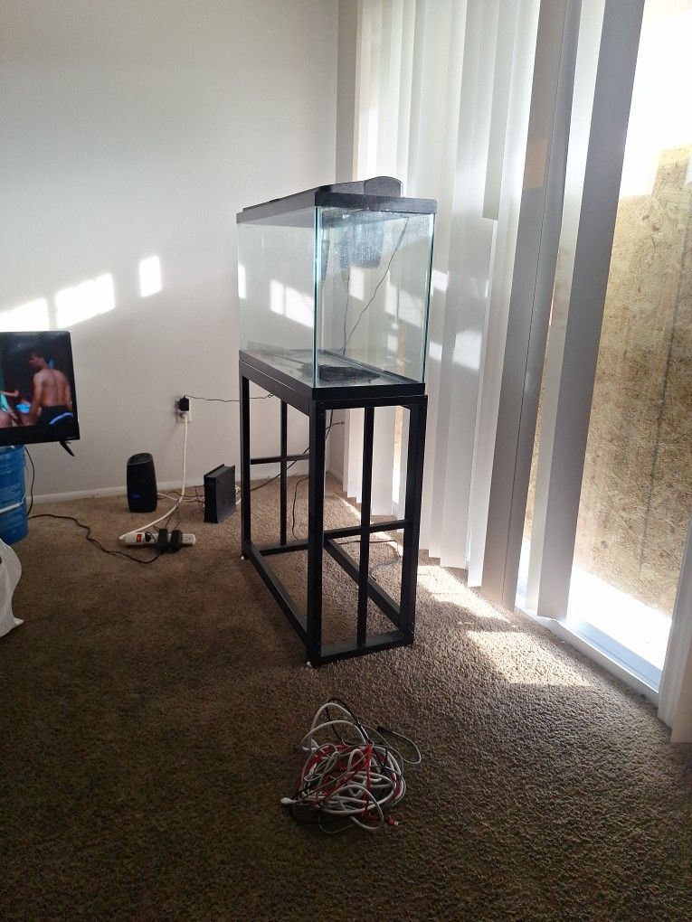 fish tank