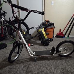 Adult Scooter