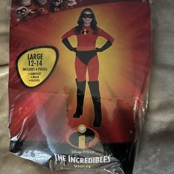Violet Costume