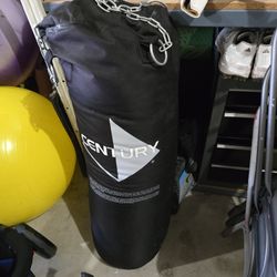 70 Lb Punching Bag With Mounting Chain And Gloves