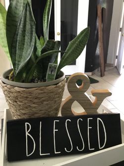 Rae Dunn inspired wooden signs