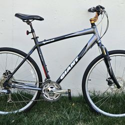 Giant Cypress Comfort Hybrid - Great for Paths & Commuting
