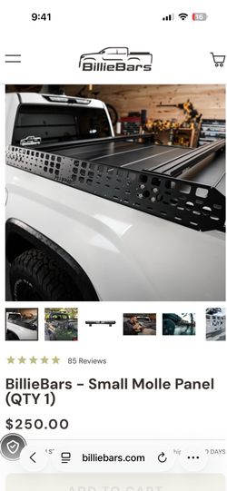 LOOKING FOR SOMEONE SELLING BILLIE BARS MOLLE PANELS