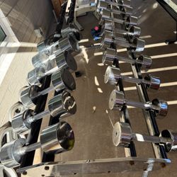 Chrome Dumbbell Set with Stand (15-55 lbs) - Paramount