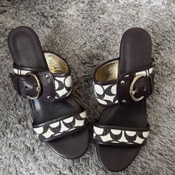 Women’s Designer Shoes 