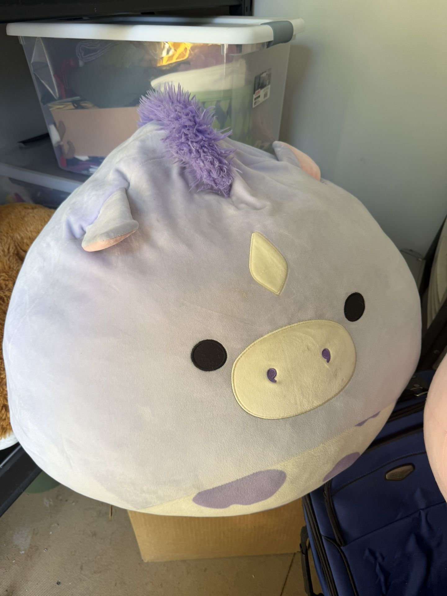 Squishmellow