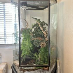 Vertical Reptile Tank