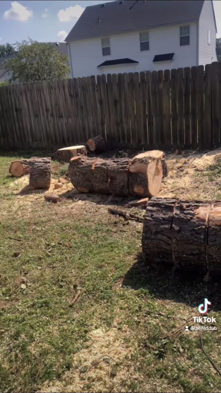 Free Firewood Oak & Maple Cut Into Manageable Pieces 