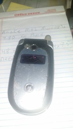 Cingular cell