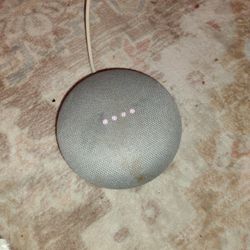 Goggle Home Smart Assistant 