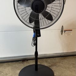 Pedestal Fan