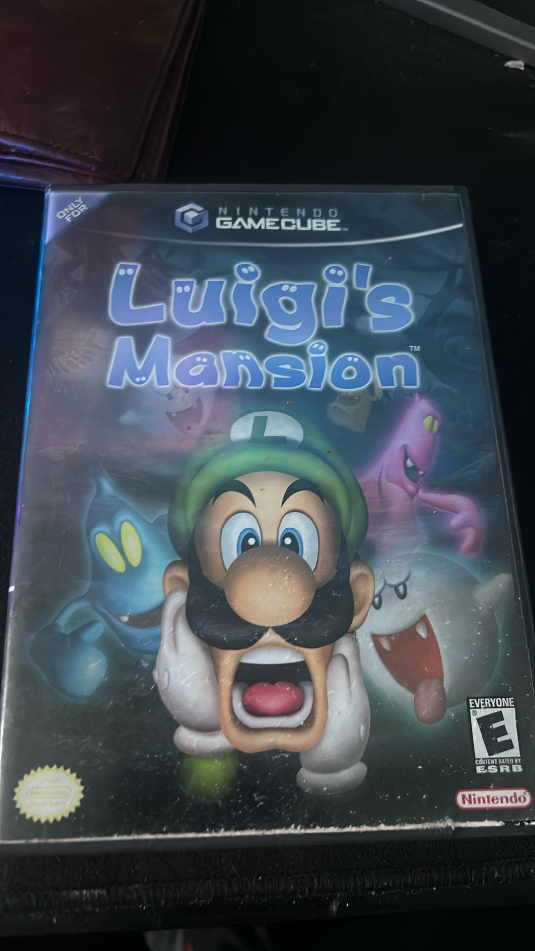 Luigi’s Mansion