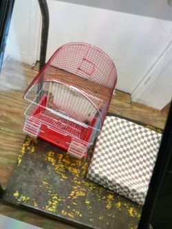 Bird cage