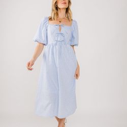 Gingham Blue Dress