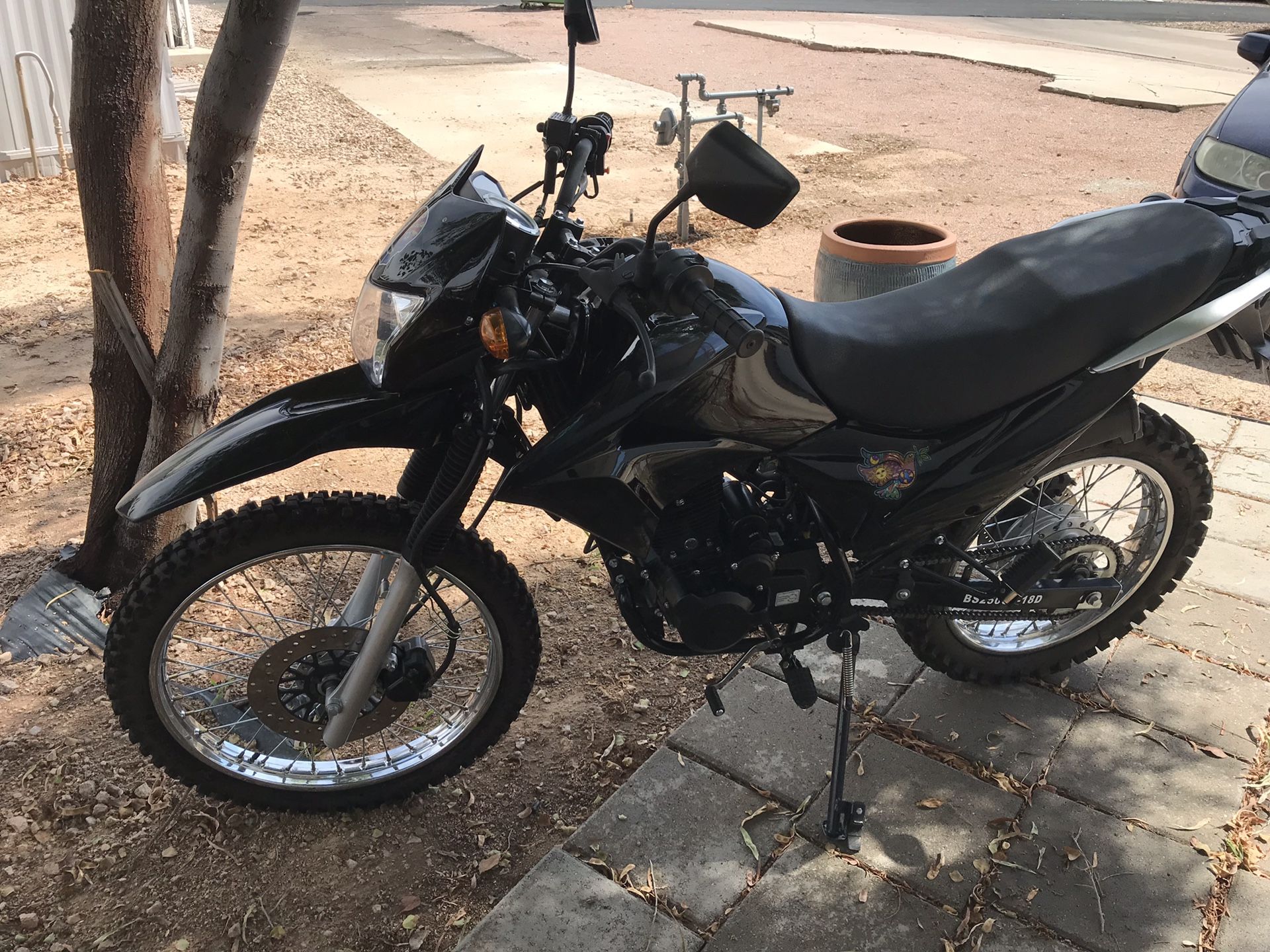 bashan bsr 250