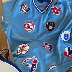 Baseball jersey collectors item