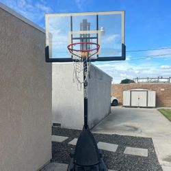 Spalding Basketball Hop