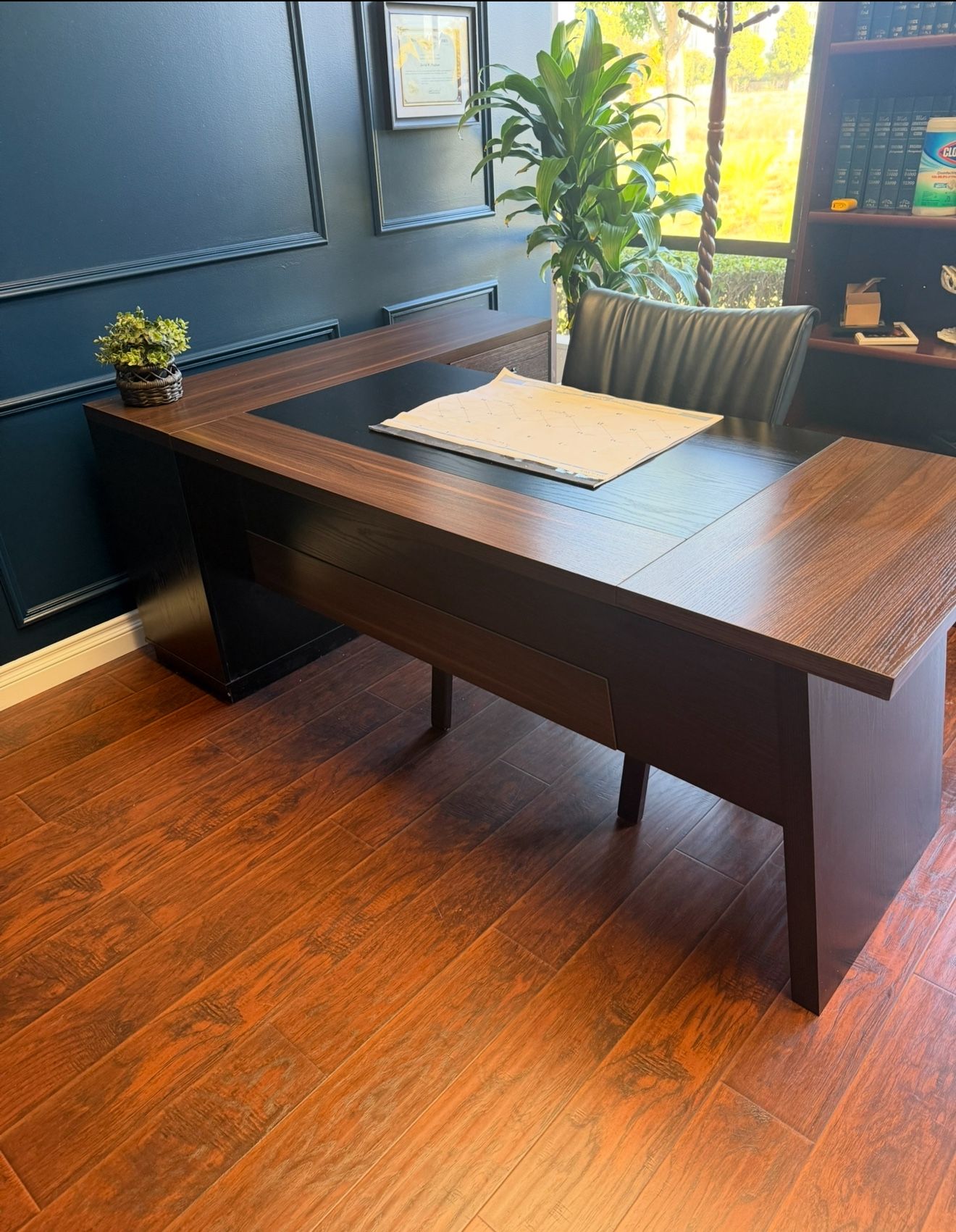 Executive Desk With File Cabinet 